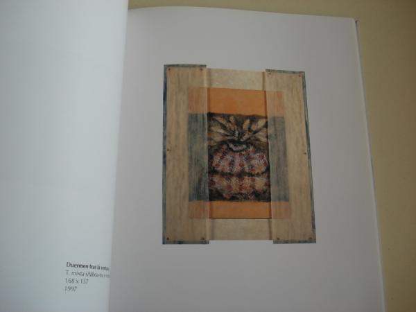 CARMEN CHACN. Profanando os soos, 1997. Catlogo