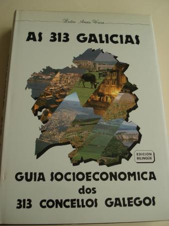 As 313 Galicias. Gua socioeconmica dos 313 concellos galegos. Edicin bilinge galego-castellano