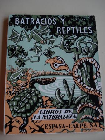 Batracios y reptiles