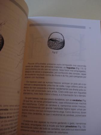 Enredos 