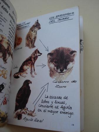 El zorro. Cuadernos de campo, n 11