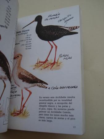 Aves viajeras (I). Cuadernos de campo, n28
