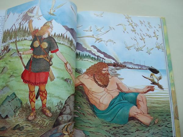 Deuses e heroes da mitoloxa viquinga