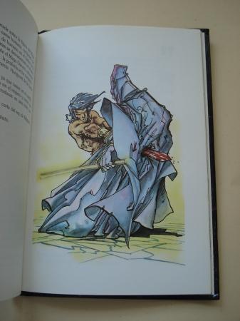 El castillo de Hangyord. Multi Aventura. S t el protagonista, n 15