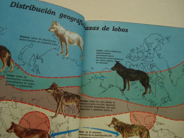 El lobo. Cuadernos de Campo, n 3