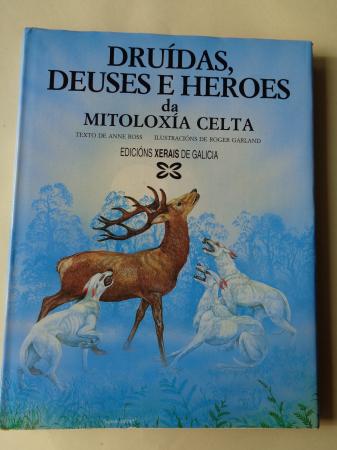 Drudas, deuses e heroes da mitoloxa celta
