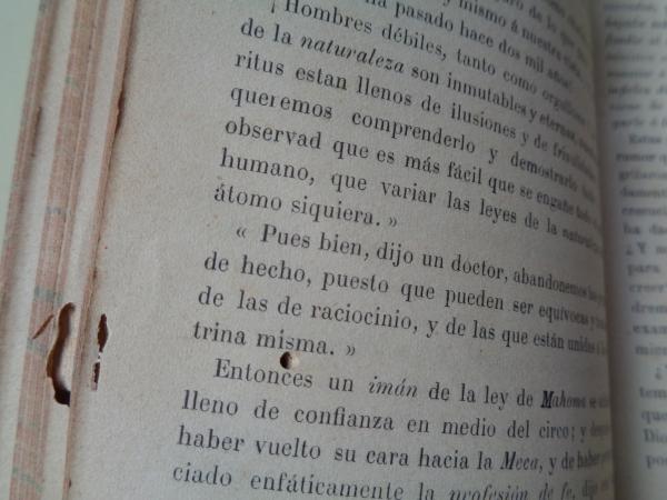 Las ruinas de Palmira - La ley Natural - La historia de Samuel