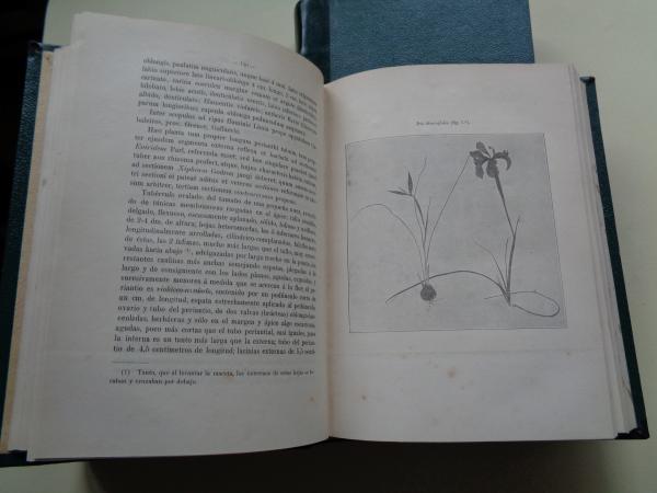 Flora descriptiva e ilustrada de Galicia. 3 tomos (edicin de 1905, 1906 y 1909)