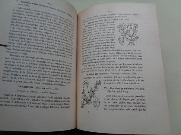Flora descriptiva e ilustrada de Galicia. 3 tomos (edicin de 1905, 1906 y 1909)