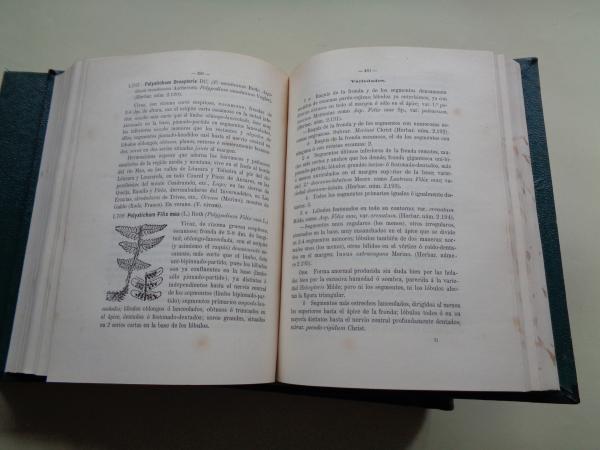 Flora descriptiva e ilustrada de Galicia. 3 tomos (edicin de 1905, 1906 y 1909)