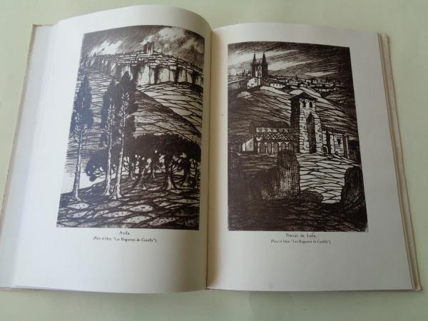 Manuel Castro Gil. Su vida; su obra; su arte