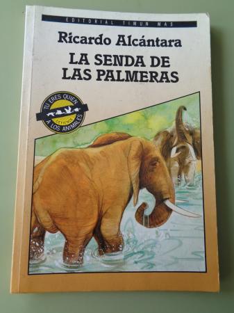 La senda de las palmeras