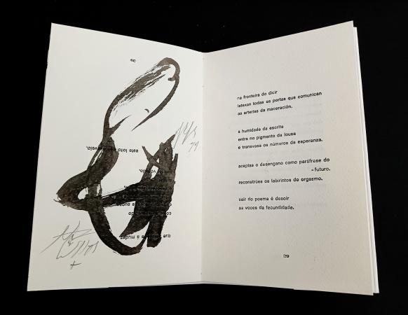 MONLOGO DO CALGRAFO, 2022 Libro de artista, exemplar nico