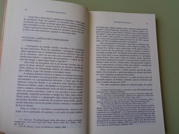 Gua medieval do peregrino. Cdice Calixtino, libro V. (Lpez Pereira, Jos Eduardo: Estudo, edicin e traducin)