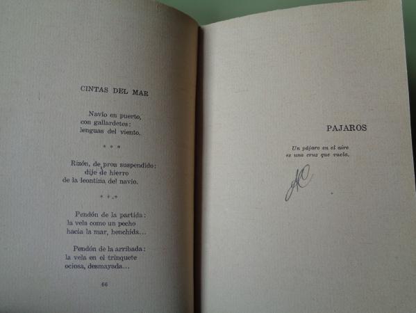 Diana de gaita (Poemas)