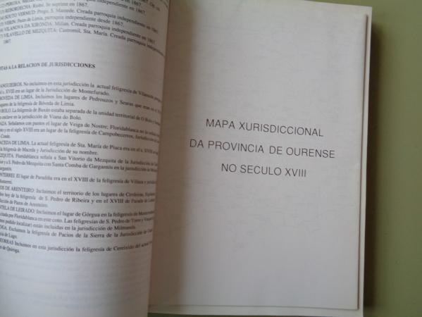 Actas do Simposio Internacional Otero Pedrayo e a xeografa de Galicia