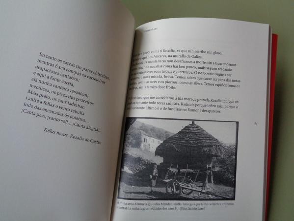 Rosala en Camio. Dilogos Literarios Multilinges 2025