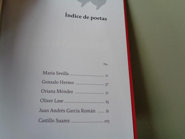 Rosala en Camio. Dilogos Literarios Multilinges 2025