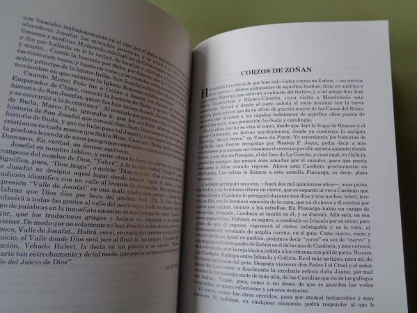 O reino da chuvia. Artigos esquecidos (Textos en castellano)