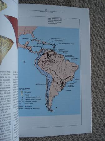 Arqueologa amaznica