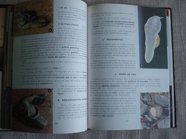 Biologa. 2 tomos
