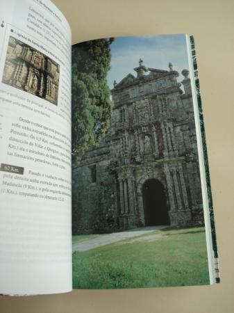 Galicia enteira. Volume 12: Ourense e a Galicia Meridional