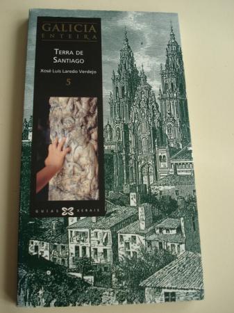Galicia enteira. Volume 5: Terra de Santiago
