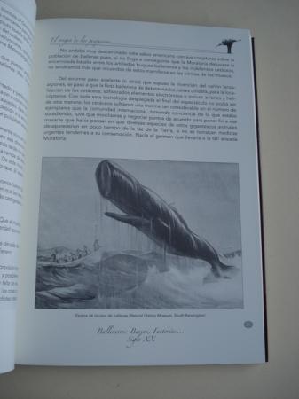 Balleneros. Barcos - Factoras... Siglo XX