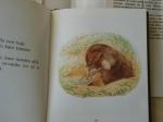 Ver productos de LITERATURA