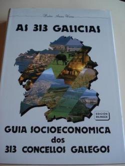 Ver os detalles de:  As 313 Galicias. Gua socioeconmica dos 313 concellos galegos (Edicin bilinge galego-espaol)