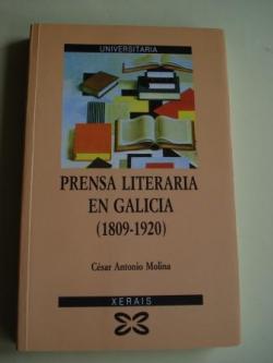 Ver os detalles de:  Prensa literaria en Galicia (1809-1920) (Texto en galego)