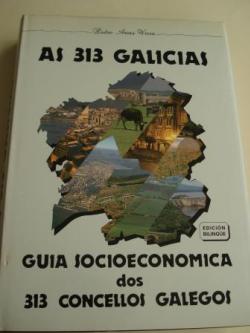 Ver os detalles de:  As 313 Galicias. Gua socioeconmica dos 313 concellos galegos. Edicin bilinge galego-castellano