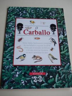Ver os detalles de:  O Carballo. Despregable de 292 cm x 25 cm en carpeta ilustrada. Versin galega de M. Castro / L. Freire
