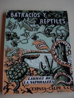 Ver os detalles de:  Batracios y reptiles