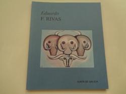 Ver os detalles de:  EDUARDO F. RIVAS. O touro festa relixin e mito. Catlogo Exposicin