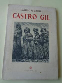 Ver os detalles de:  Manuel Castro Gil. Su vida; su obra; su arte