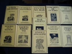 Ver os detalles de:  Poesa Galega do Noso Tempo (11 libros en estoxo)