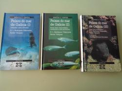 Ver os detalles de:  Peixes do mar de Galicia I, II e III