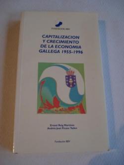 Ver os detalles de:  Capitalizacin y crecimiento de la economa gallega 1955-1996