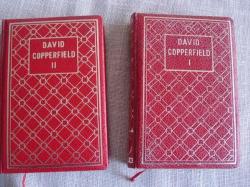 Ver os detalles de:  David Copperfield. 2 tomos