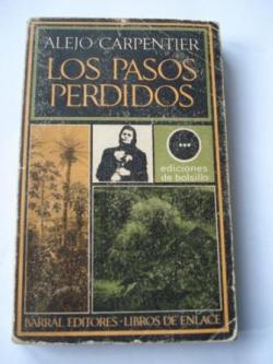 Ver os detalles de:  Los pasos perdidos