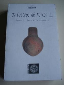 Ver os detalles de:  Os Castros de Neixn II (Galicia)
