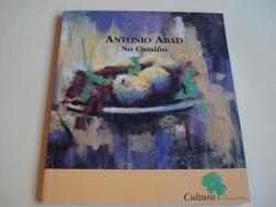 Ver os detalles de:  ANTONIO ABAD. NO CAMIO (1991-2001). Catlogo Exposicin Casa das Artes, Vigo, 2001