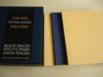 XON ANLEO - ANTONIO MURADO - PAMEN PEREIRA. Becas de Creacin Artstica en el Extranjero UNIN FENOSA. Museo de Arte Contemporneo - A Corua. Estoxo en carton con tres libros-catalgo de Exposicin, A Corua, 1998 - Ver os detalles do produto