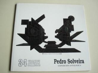PEDRO SOLVEIRA. Exposicin antolgica. Catlogo Exposicin Vigo, 1996. Grandes Artistas Gallegos, n 34 - Ver os detalles do produto