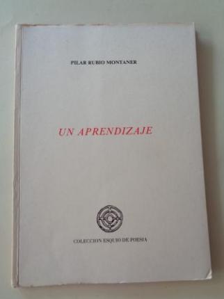 Un aprendizaje - Ver os detalles do produto