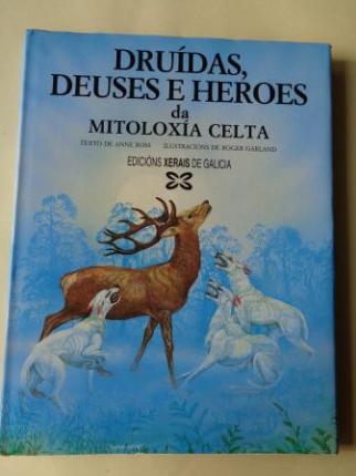 Drudas, deuses e heroes da mitoloxa celta - Ver os detalles do produto