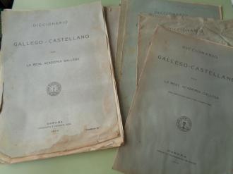 Diccionario Gallego-Castellano por la Real Academia Gallega. Corua, 1913-1928. 15 cadernos: nmeros 2-4-5-6-7-9-11-12-13-15-16-17-25-26-27 - Ver os detalles do produto