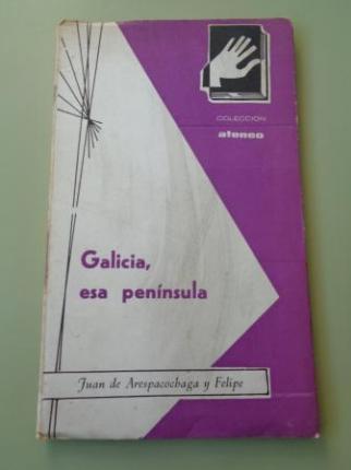 Galicia, esa pen�nsula (Conferencia Centro Gallego de Madrid) - Ver os detalles do produto